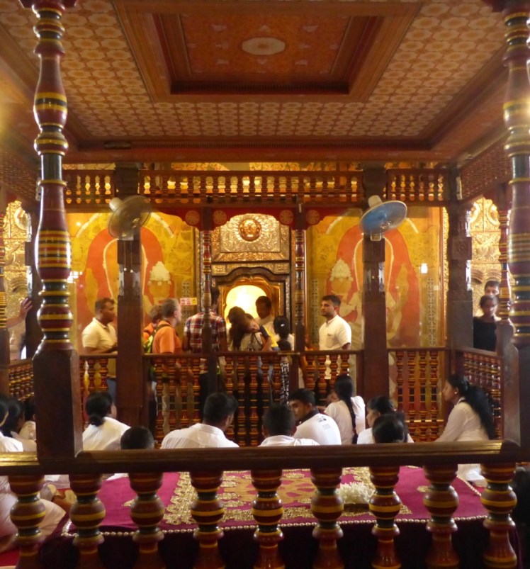 1cocaHq4SH2oHjq5vfHKRQ_thumb_538c