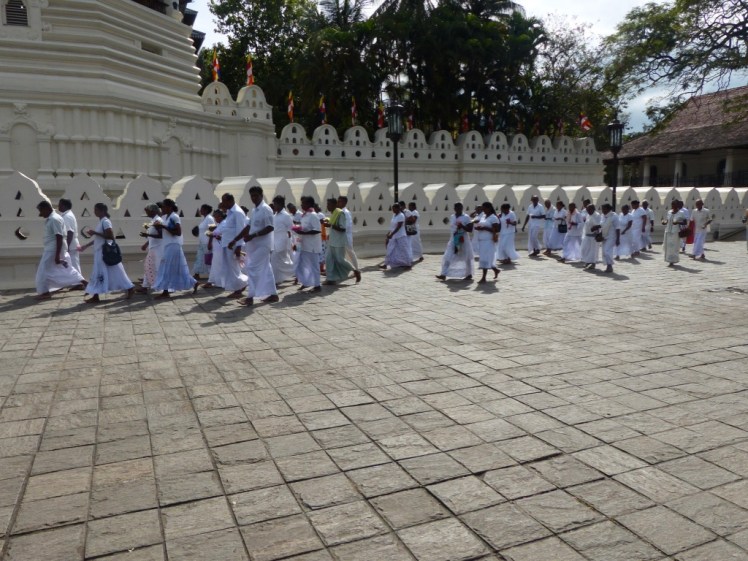 2weKy7BUQX2ynB7fIM5y0g_thumb_5382