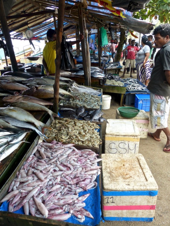 4ybdpeTuSpmnVJLR1ox8Tw_thumb_540d