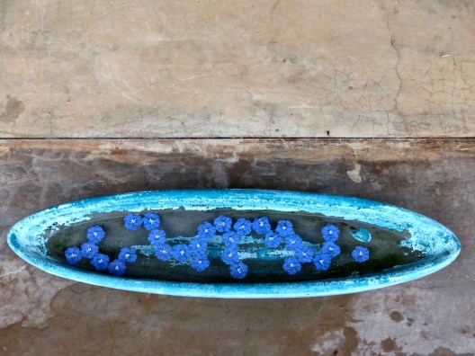 aBd9gxnEQ8ePfye7qEJGAg_thumb_5376