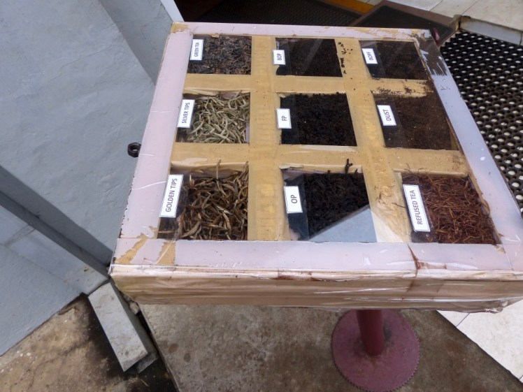 bBzjG1eiSZmtpOu+ijFoUw_thumb_53b0