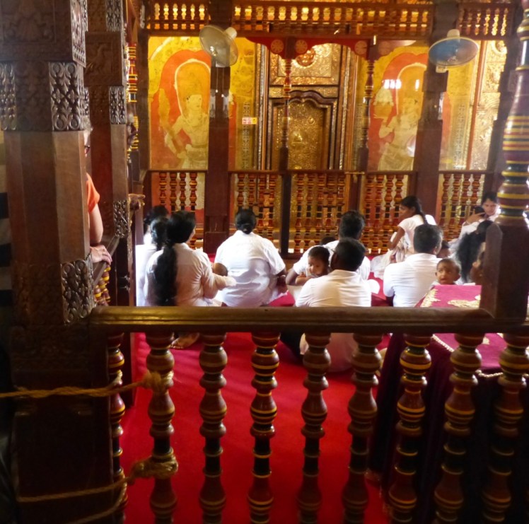 bEcrxeXeS7yKG12KbbLIIw_thumb_538a