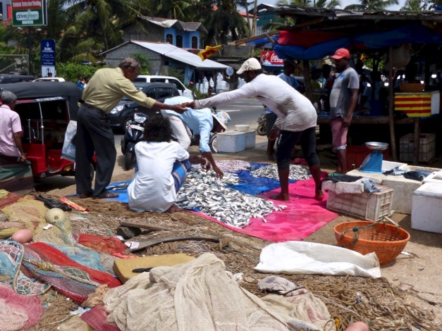 bsv3HCdTQ5aVY%KmC%NXUA_thumb_5407