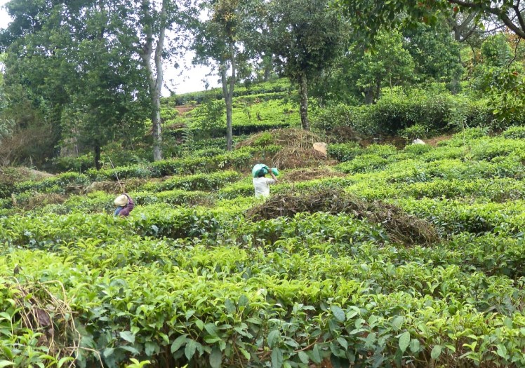 Jsc0M48SR%2I%HeZy+gx3g_thumb_537b