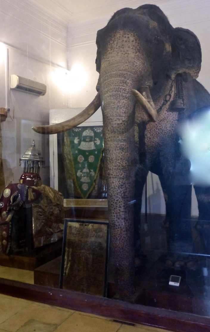 nzSN9xexTx+zrFj0Ntg_thumb_5399