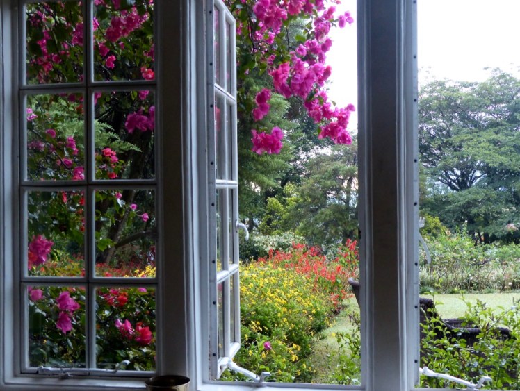 SwlpzjbUQaKusnG6sFHS7w_thumb_536f