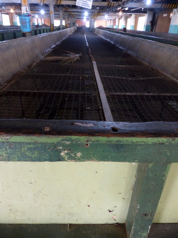 UJ20TcaBQ66eUnp3zHh9%Q_thumb_53a6