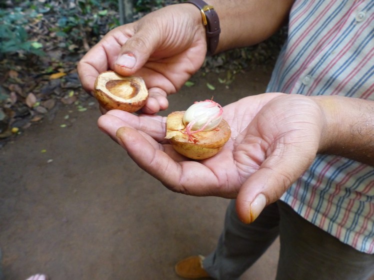 UNADJUSTEDNONRAW_thumb_536b