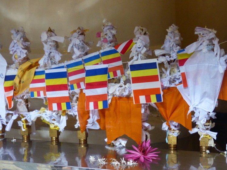 UNADJUSTEDNONRAW_thumb_5395