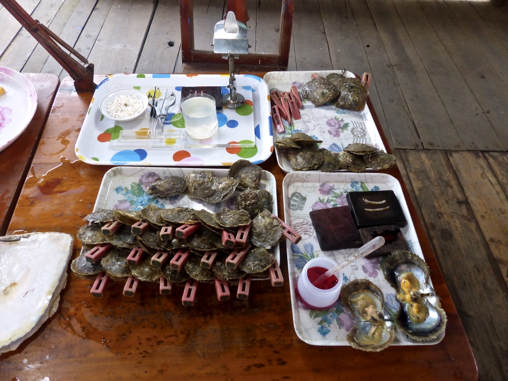 3FmSKoQPRyiQsO79b6v5Wg_thumb_5537