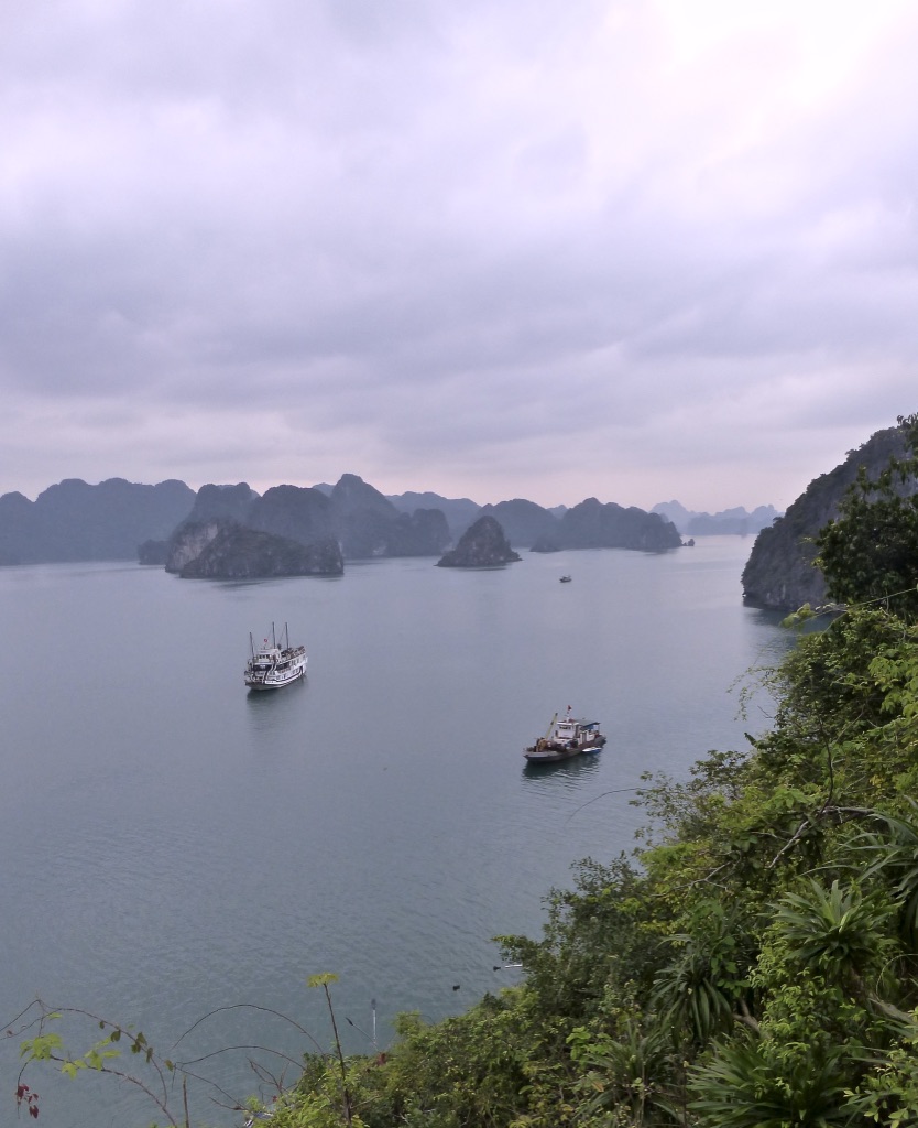 b8fkNzVWTdyHIHo5HA4IhA_thumb_553a