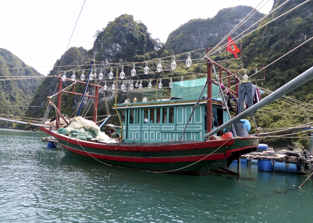 F9rXM2VUTOO5rSq3N3OOBg_thumb_5567