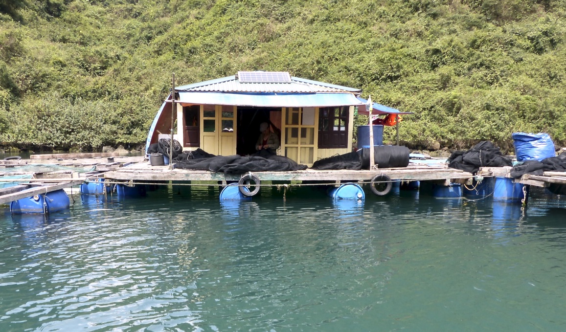 faJULF+4Rf+pgDhNnq4sCg_thumb_556d