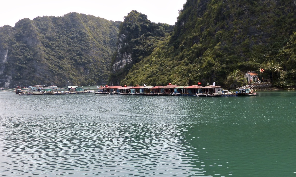 OVDW+01gTd+wWv19pfGeWQ_thumb_555f