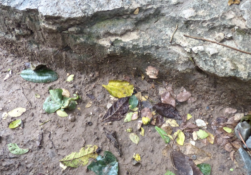 C4e78JuOT6aJIcGOBimMVw_thumb_57d0