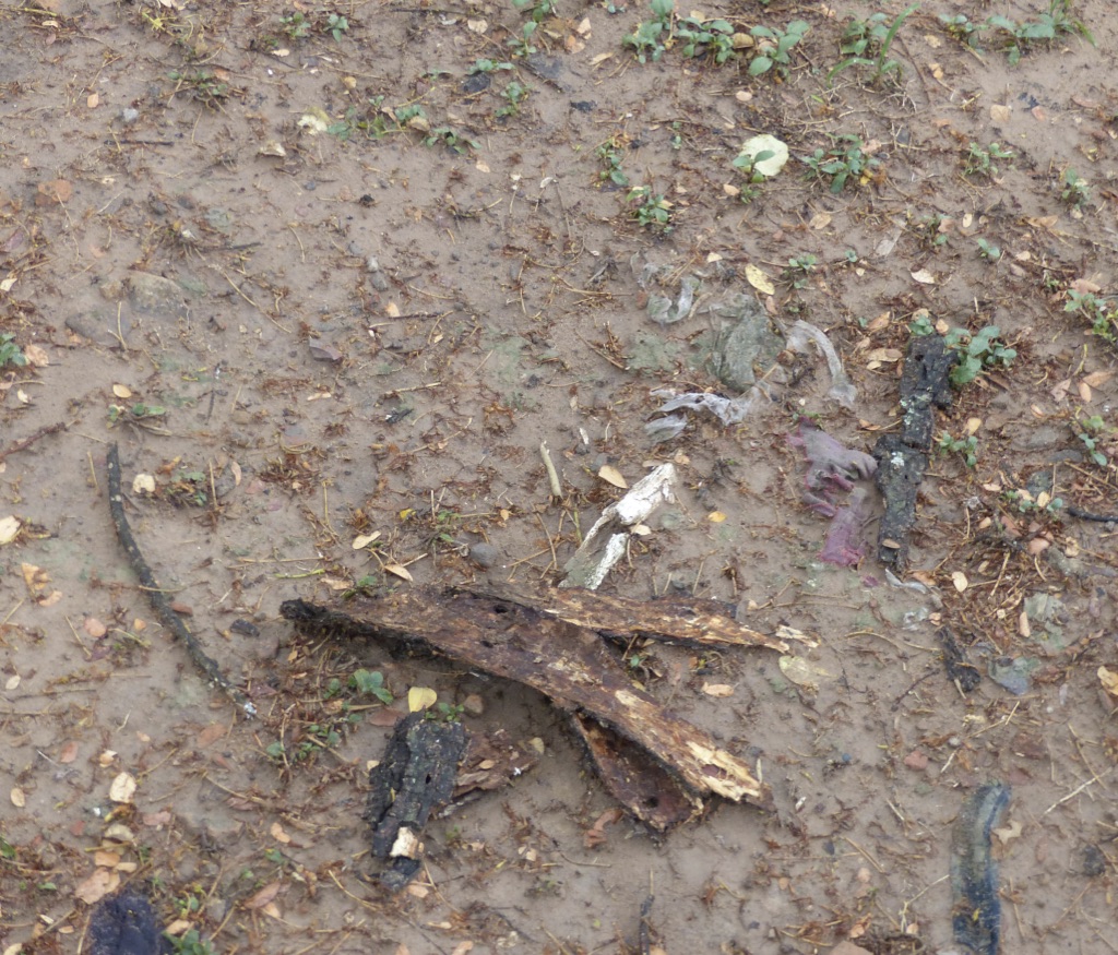 JqaZb8ywQcmn6EokWvr%aw_thumb_57dd