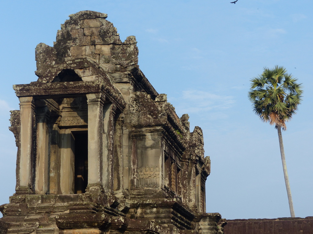 UNADJUSTEDNONRAW_thumb_5821